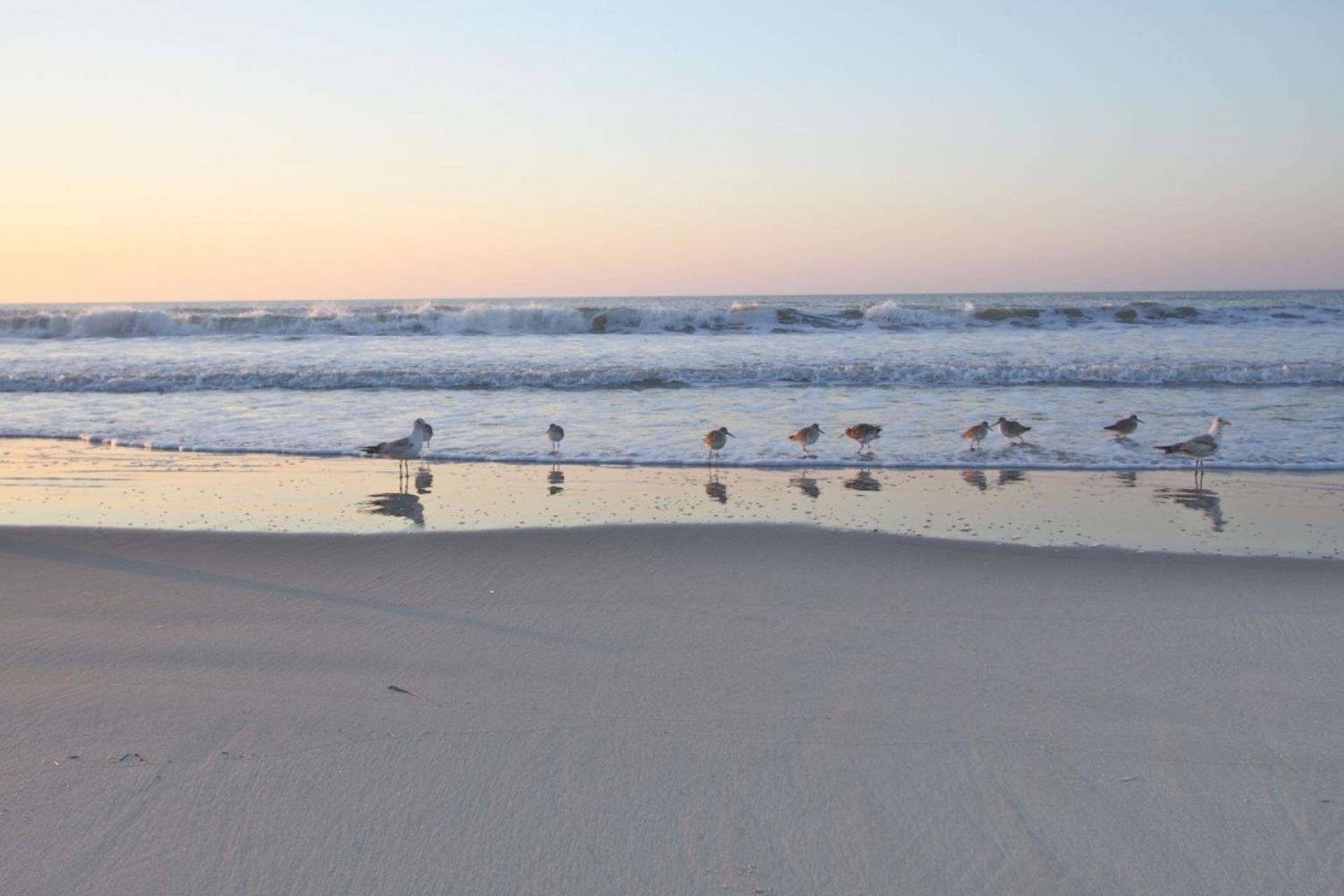 Love Blooms Here Isle of Palms Exterior foto